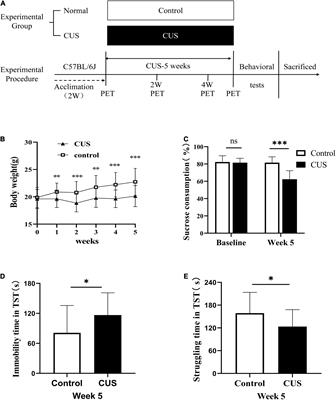 Microglia Loss and Astrocyte Activation Cause Dynamic Changes in Hippocampal [18F]DPA-714 Uptake in Mouse Models of Depression